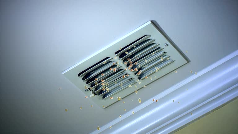 Best Dryer Vent Cleaning Services  in Oakfield, WI