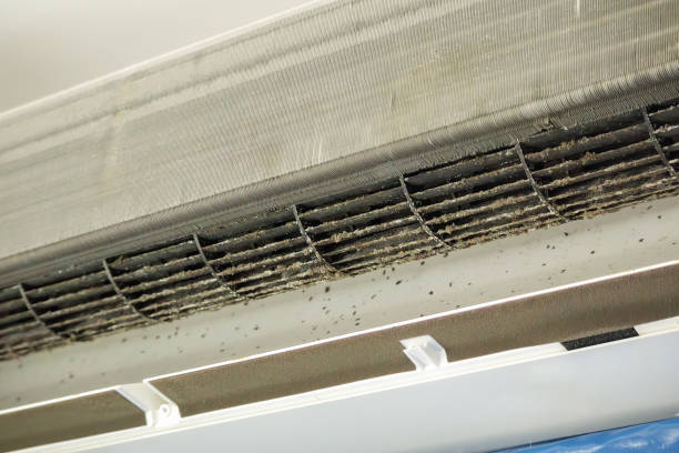 Best Emergency Air Duct Cleaning  in Oakfield, WI